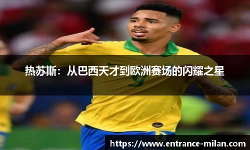 米兰体育平台