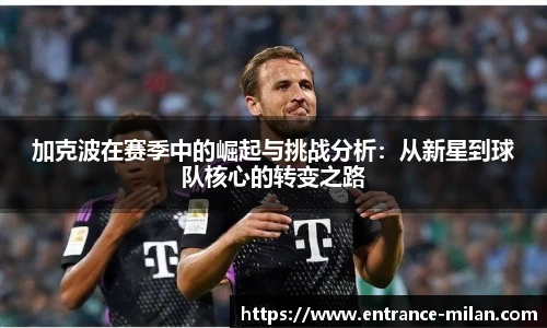 米兰体育